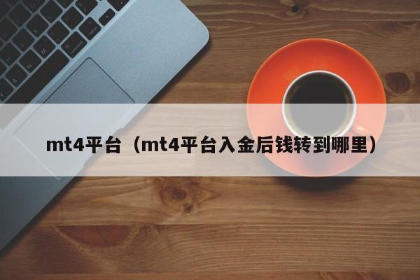 mt4平台（mt4平台入金后钱转到哪里）