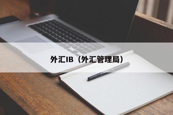 外汇IB（外汇管理局）