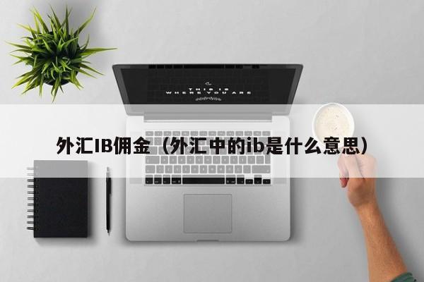 外汇IB佣金（外汇中的ib是什么意思）